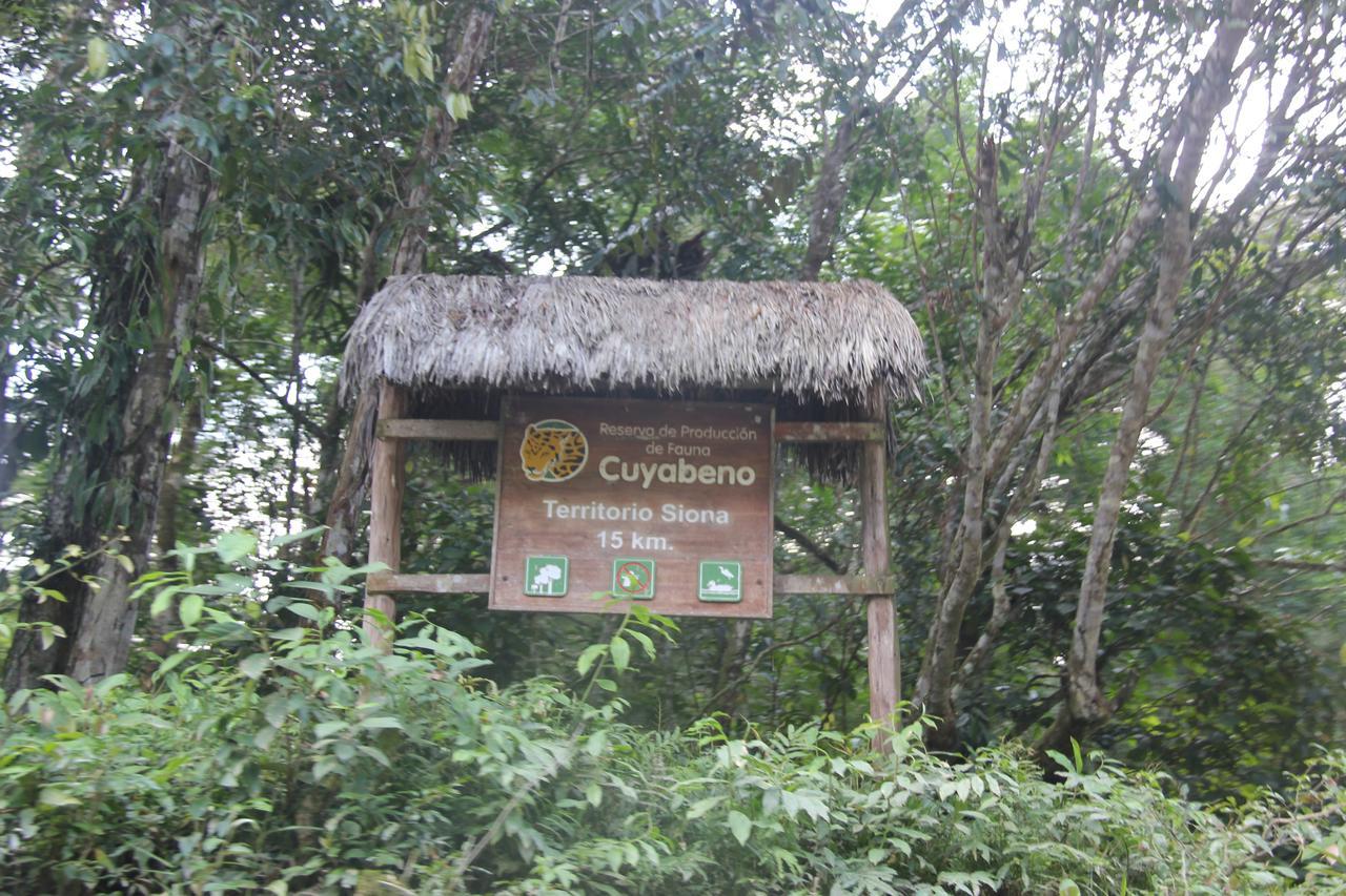Green Forest Ecolodge Puerto Montufar Kültér fotó